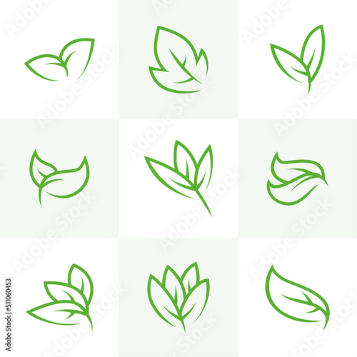 Leaf green nature logo with line art