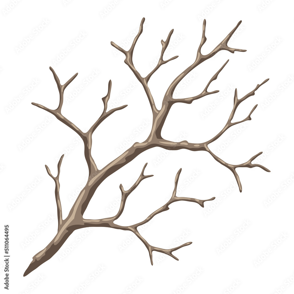 Obraz premium Illustration of dry bare branch. Decorative natural twig.