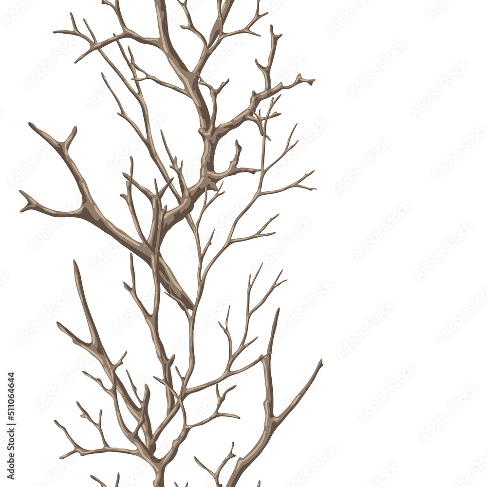 Obraz premium Seamless pattern with dry bare branches. Decorative natural twigs.