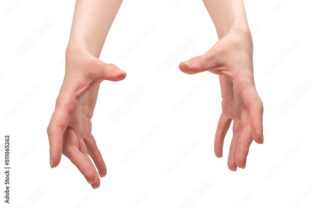Woman hand isolated on a white background. Woman hand isolated on a white background.