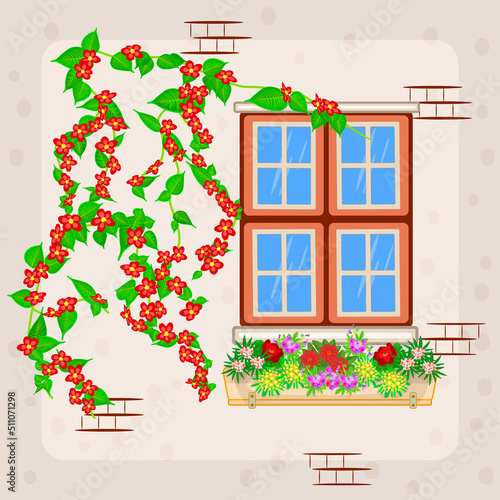 Window of house or apartment building with flowers in pot and climbing plant. Vintage european window decorated with flowers. Architecture and home facade.Plants in cachepots grow on windowsill.Vector