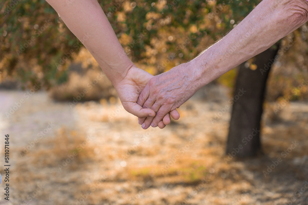 Detalle de manos unidas de un abuelo y su nieto, en el parque. Fotografía en horizontal con espacio para texto. Detalle de manos unidas de un abuelo y su nieto, en el parque. Fotografía en horizontal con espacio para texto.