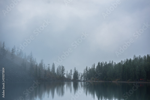 Tranquil meditative misty scenery of glacial lake with pointy fir tops reflection at early morning. Graphic EQ of spruce silhouettes on calm alpine lake horizon in mystery fog. Ghostly mountain lake.