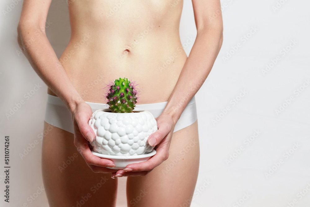 cactus of a beautiful slender female body. laser hair removal on a female body. bikini waxing cactus of a beautiful slender female body. laser hair removal on a female body. bikini waxing