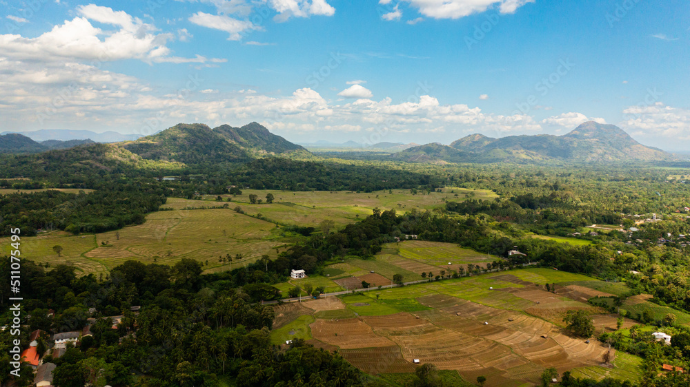 Aerial drone of Agricultural land and rice fields in the countryside. Farmers land surrounded by jungle. Sri Lanka.
