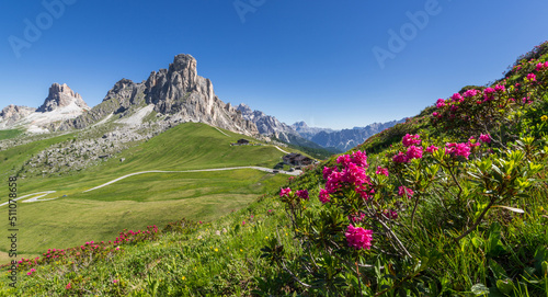 Flowers and mountains at pass Giau in the Dolomites