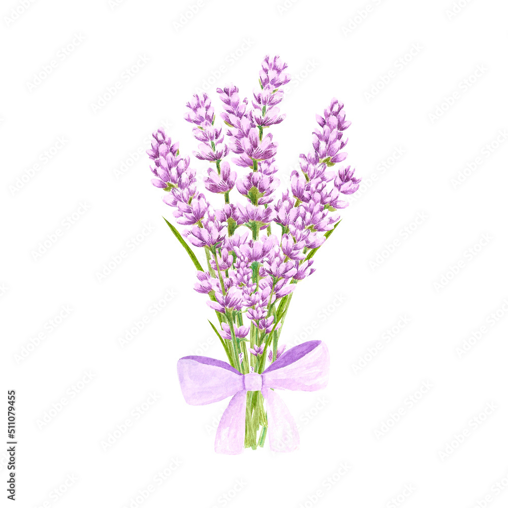 Obraz premium Handdrawn lavender flowers. Watercolor purple lavender bouquet. Scrapbook design, typography poster, invitation, label, banner and card.