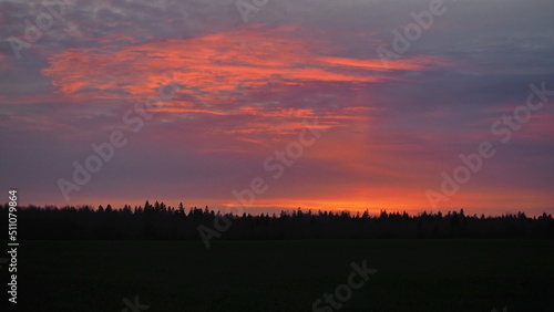 Rural landscape. Silhouettes of trees against the backdrop of a colorful sunset.