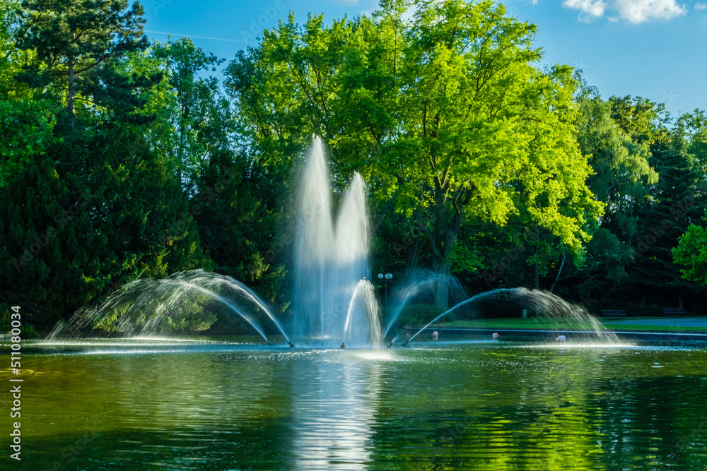 fountain in the park