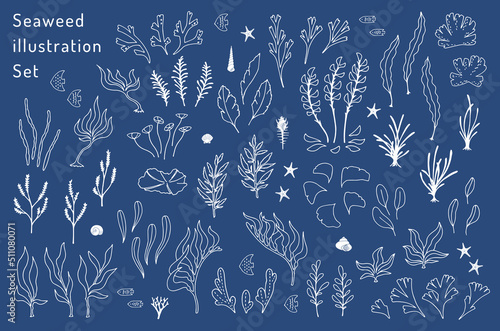 海草と海の生き物のイラストセット