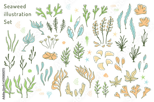 海草と海の生き物のイラストセット