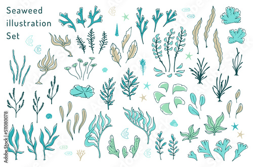 海草と海の生き物のイラストセット