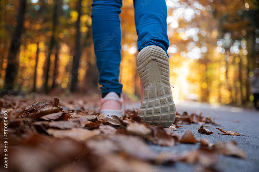 Low angle view of woman walking through autumn forest Low angle view of woman walking through autumn forest