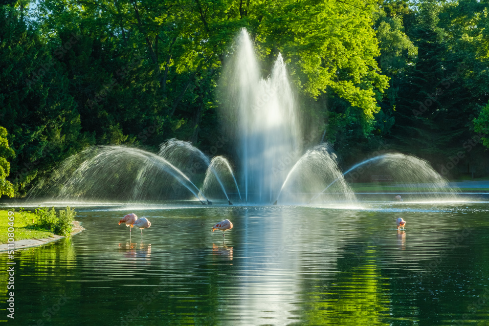 fountain in the park