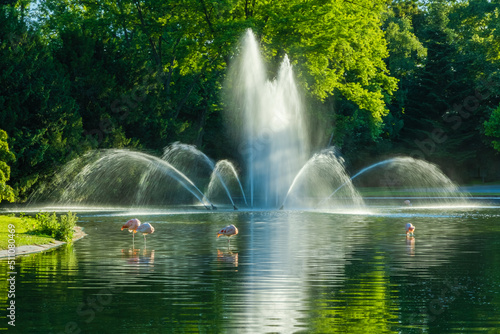 fountain in the park