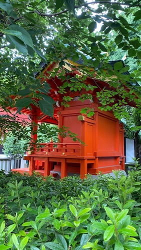 Going through back ally to the main house of “Kandamyojin”, an honorable Japanese shrine known with its festive architectural design with vivid red accented pagodas.  Shot taken year 2022 June 15th photo