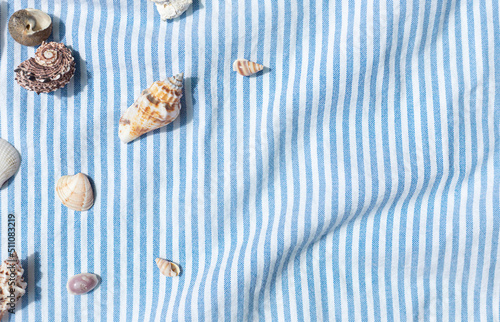Different kinds of seashells frame on the blue striped fabric background top view. Copy space