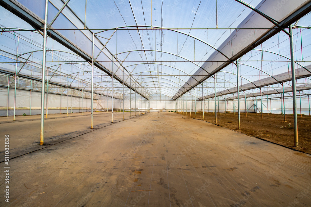 empty greenhouse2 empty greenhouse2