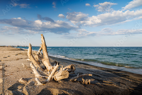 Fototapeta Naklejka Na Ścianę i Meble -  Logs and branches are lying on beach against backdrop of Black Sea and blue sky