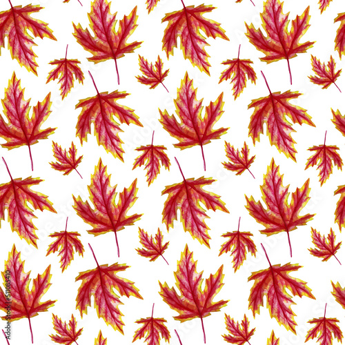 Watercolor seamless pattern with fallem leaves  autumn forest background.
