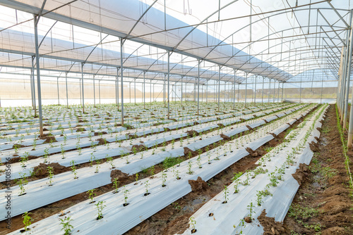 Campo de conservación agrícola