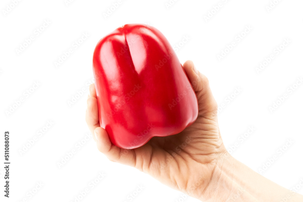Obraz premium Hand of a woman holding a red bell pepper