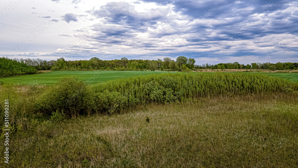 A spring view of a rural meadow A spring view of a rural meadow
