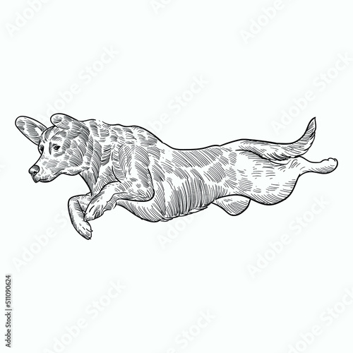 Vintage hand drawn sketch jump dog 