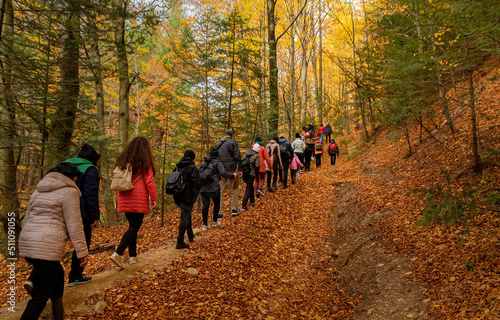 A group of tourists in autumn in the Carpathian forests - climbs uphill