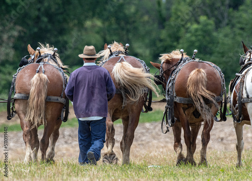 Amish man walking behind his team of draft horses in a farm field | Holmes County, Ohio