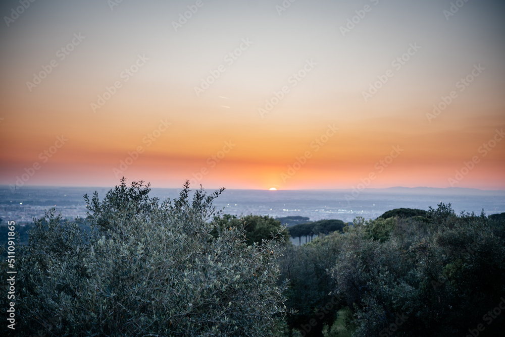 Dramatic pink and orange sunset sky in olive grove in Italy