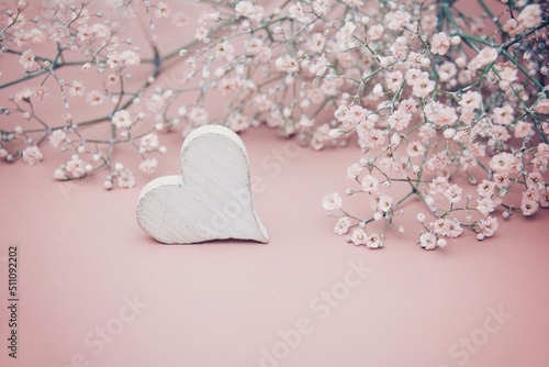 Gypsophila flower with whit...