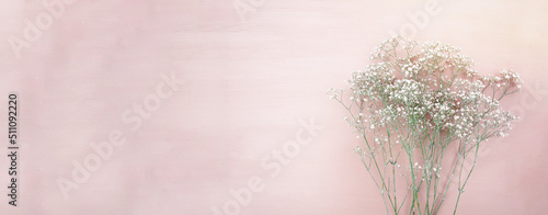 Gypsophila flower on pink b...