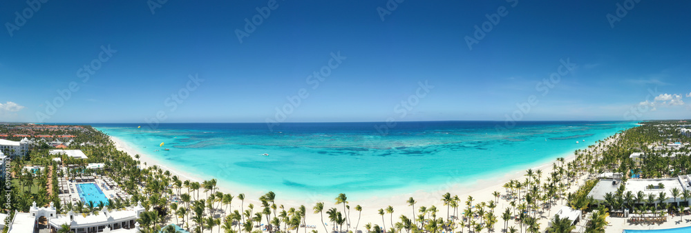 Bounty and pristine sandy shore with coconut palm trees, caribbean sea washes tropical coast. Arenda Gorda beach. Dominican Republic. Aerial panorama view