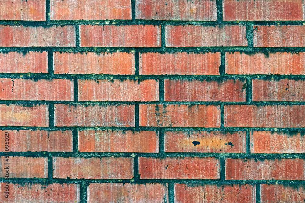 Obraz premium vintage moldy brick wall stained closeup retro style weathered mold surface aged bricks