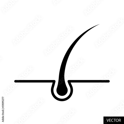 Hair transplant, Hair treatment vector icon isolated on white background. Vector illustration.