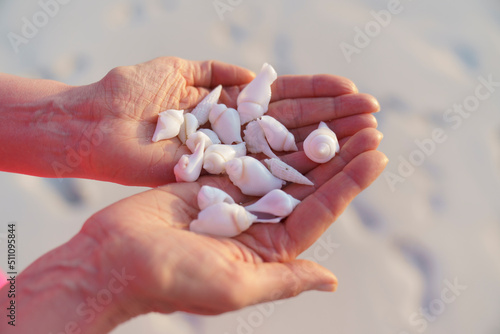 Women's palms with shells on the ocean.