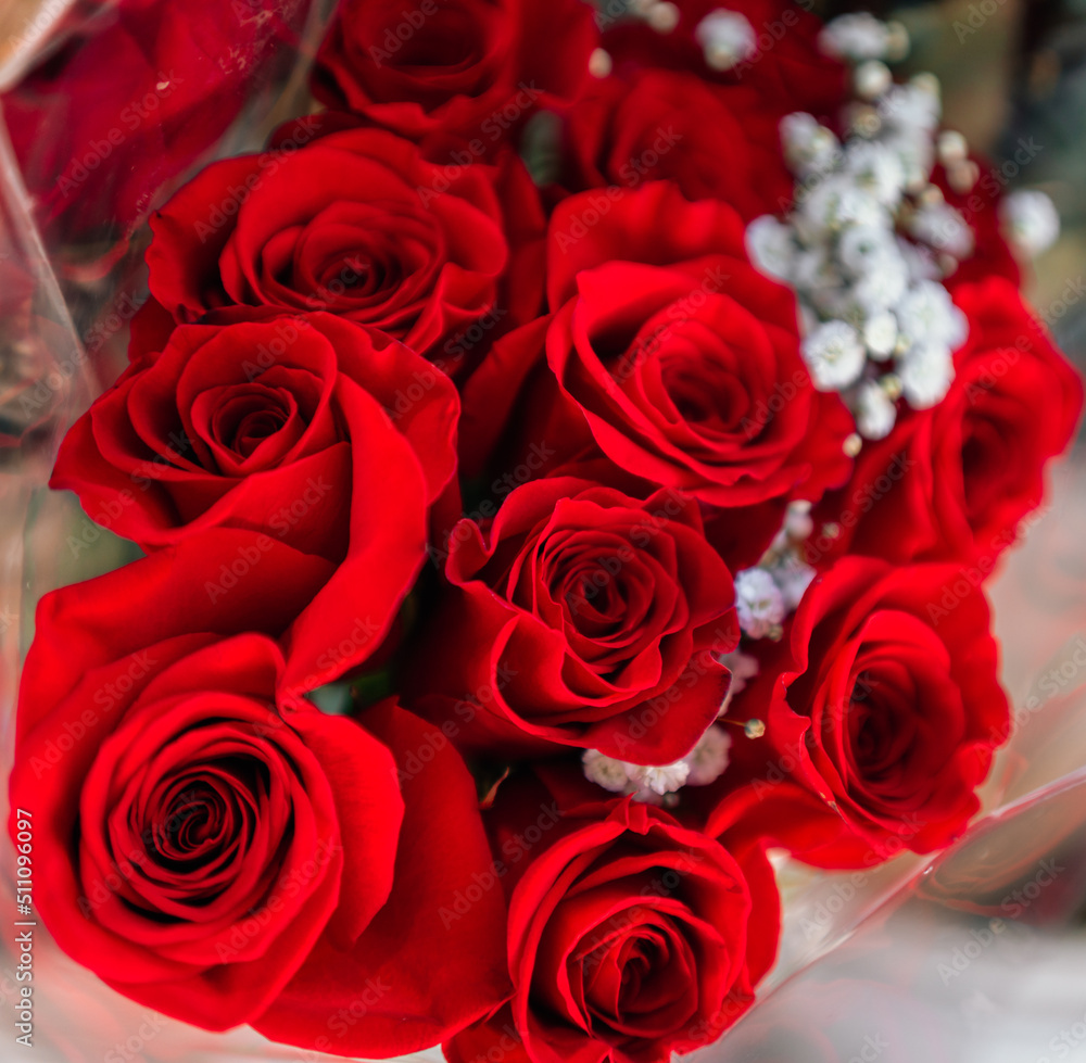 macro closeup red roses flowers macro closeup red roses flowers