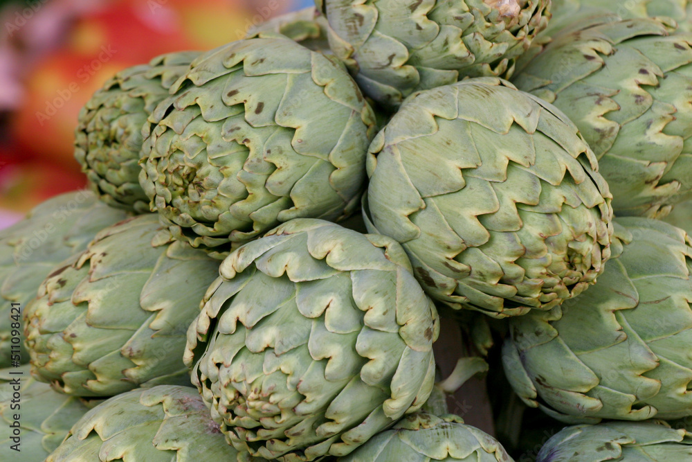 Fototapeta premium Artischocke