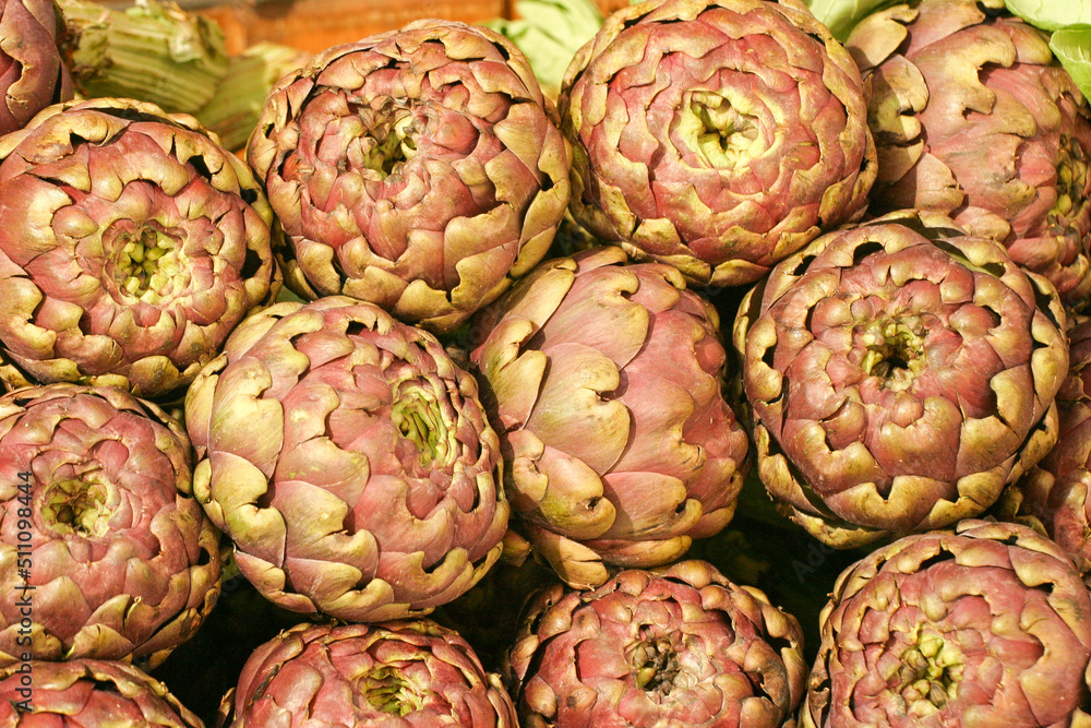 Fototapeta premium Artischocke