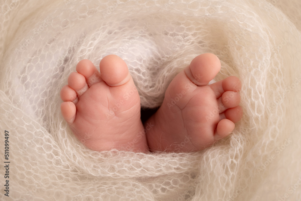 Soft feet of a newborn in a white woolen blanket. Close-up of toes, heels and feet of a newborn baby.The tiny foot of a newborn. Studio Macro photography. Baby feet covered with isolated background. Soft feet of a newborn in a white woolen blanket. Close-up of toes, heels and feet of a newborn baby.The tiny foot of a newborn. Studio Macro photography. Baby feet covered with isolated background.