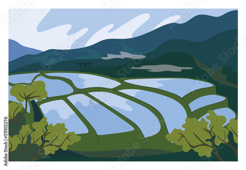 East country rice fields. Terraced plantation on cascade field