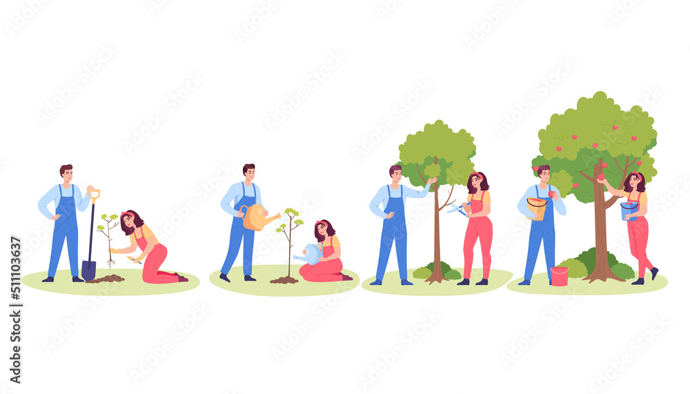 People growing apple tree. Cartoon man and woman gardening, planting fruit tree, watering and harvesting apples. Gardening, nature concept for website or landing page