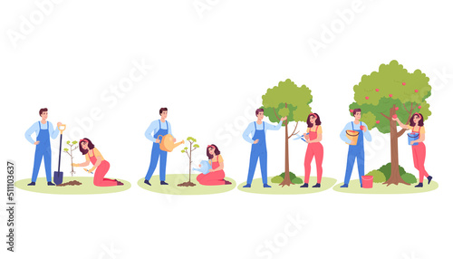 People growing apple tree. Cartoon man and woman gardening, planting fruit tree, watering and harvesting apples. Gardening, nature concept for website or landing page