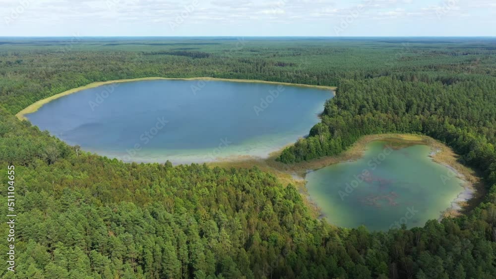 lake in the forest aerial view lake in the forest aerial view