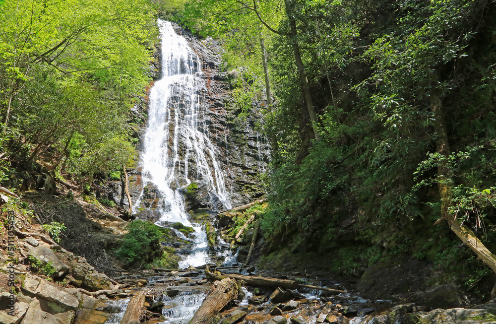 View at Mingo Falls - Great Smoky Mountains National Park, North Carolina View at Mingo Falls - Great Smoky Mountains National Park, North Carolina