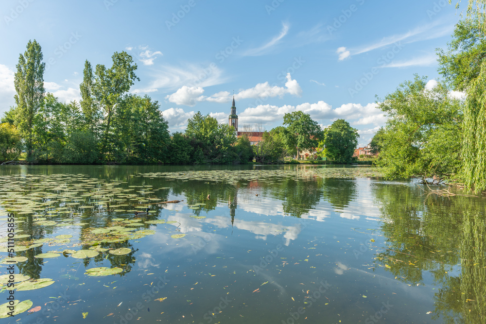 Obraz premium Village by river with water lilies in spring.