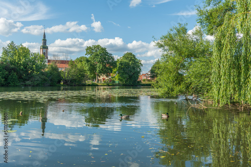 Village by river with water lilies in spring.