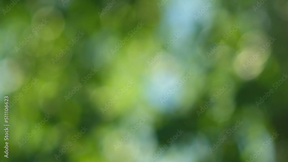Blurred summer natural background. Juicy and bright backdrop. Beautiful defocused leaves. Abstract nature. Natural Bokeh effect with sun rays. Green color light bokeh nature background. Greenery. Blurred summer natural background. Juicy and bright backdrop. Beautiful defocused leaves. Abstract nature. Natural Bokeh effect with sun rays. Green color light bokeh nature background. Greenery.