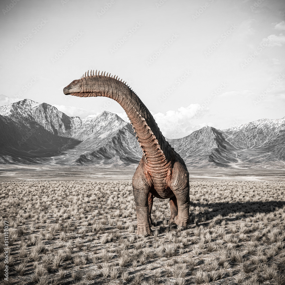Obraz premium alamosaurus is looking for the others in the plains and mountains